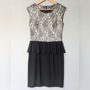 Teaberry Sleeveless Black Lace Peplum Sheath Dress Softgirl Office Chic